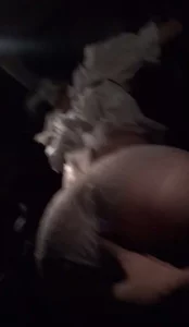 029西安咸阳交流交流